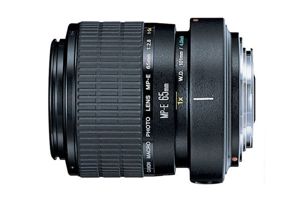 Canon MP-E65mm f/2.8 Lens